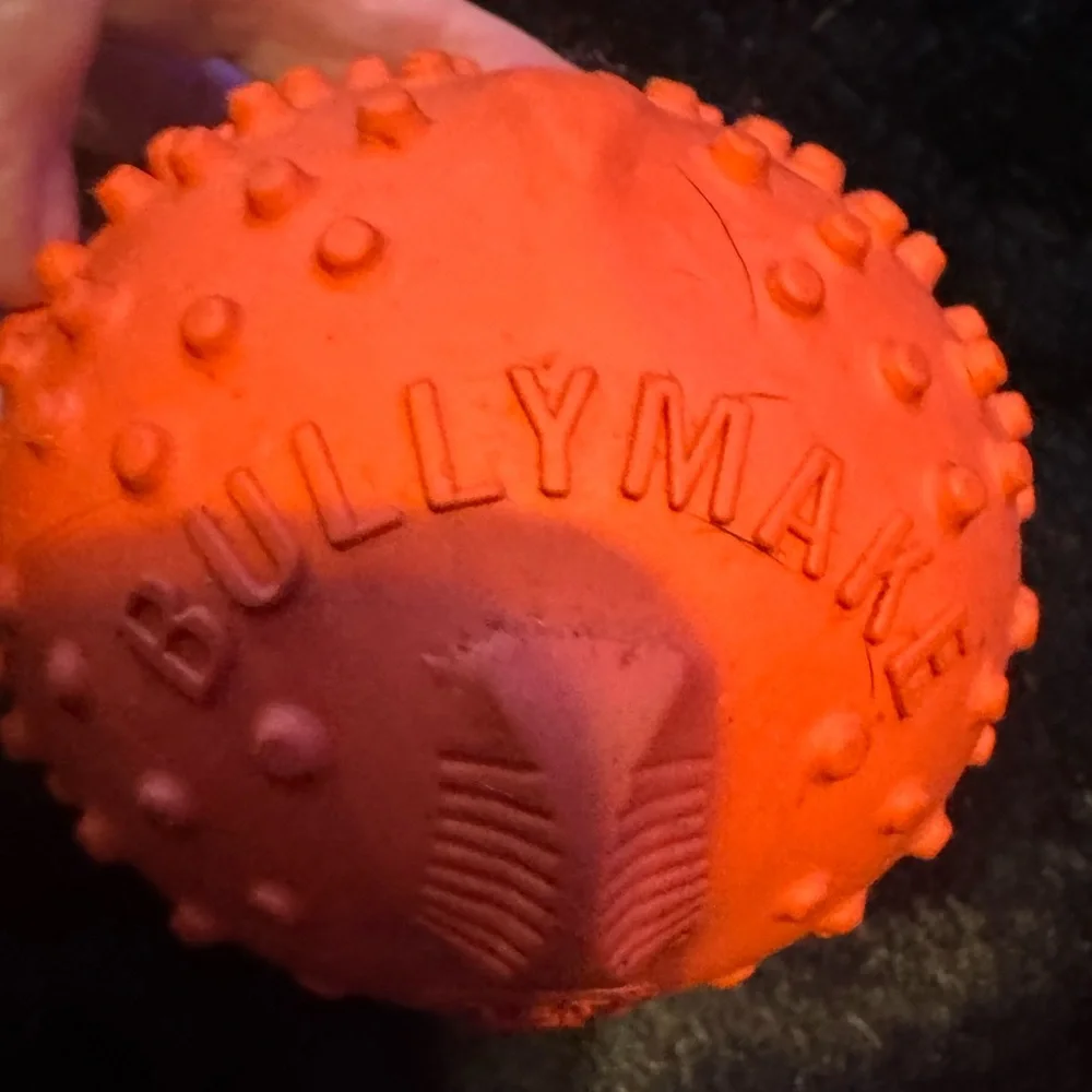 Bullymake Blowfish treat dispensing Dog toy L